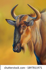 Close-up portrait of a wildebeest. Graphic illustration of a wildebeest on a  yellow background.