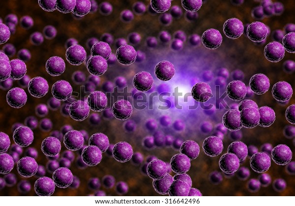 Closeup of purple staph bacteria in computer\
generated image