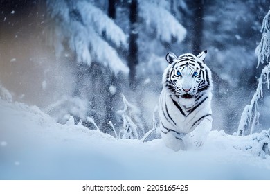 Un primer plano de un tigre blanco que corre en un bosque nevado y un paisaje invernal. Representación 3D. Ilustración 3D