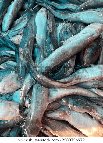 Similar – Image, Stock Photo Freshly Caught Catfish on a Ceramic Plate on an old Wooden Boardwalk
