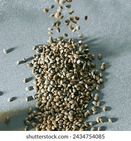 A close-up view of organic hemp seeds heaped and scattered on a textured grey backdrop, epitomizing health, nutrition, and plant-based dietary choices in a natural setting. - Powered by Shutterstock