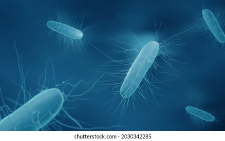 Clostridium difficile bacteria, 3d illustration