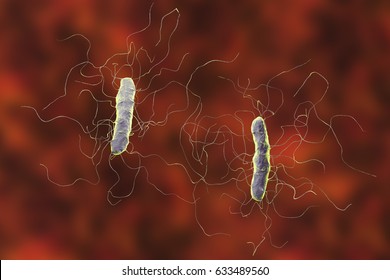 342 Clostridium Difficile Images, Stock Photos & Vectors | Shutterstock