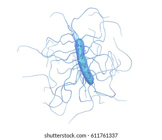 Clostridium Difficile Bacterium Isolated On White Stock Illustration ...