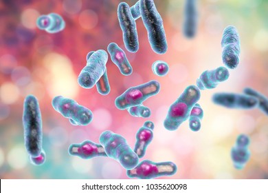 Clostridium Hd Stock Images Shutterstock