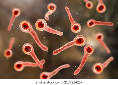 Clostridium Tetani Bacteria, The Causative Agent Of Tetanus Disease, 3D Illustration