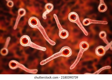 Clostridium Tetani Bacteria, The Causative Agent Of Tetanus Disease, 3D Illustration