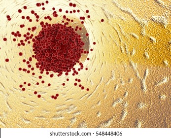 Clot Formation