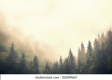 Clouds And Fog Over Pine Tree Forest Painted Style