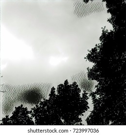 Clouds With Trees In Foreground In Stark Black And White