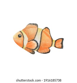 Clown Fish Watercolor Illustration. Ocean. Sea. Postcard.