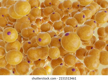 A Cluster Of Fat Cells. 3D Rendering.