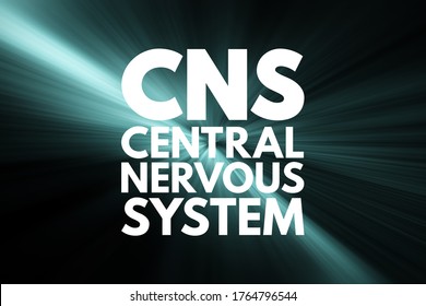 CNS - Central Nervous System Is The Part Of The Nervous System Consisting Primarily Of The Brain And Spinal Cord, Acronym Text Concept Background