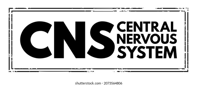 CNS - Central Nervous System Is The Part Of The Nervous System Consisting Primarily Of The Brain And Spinal Cord, Acronym Text Concept Stamp