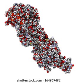 Coagulation Factor IXa (FIXa), Crystal Structure. Hereditary Deficiency Causes Hemophilia B (Christmas Disease).