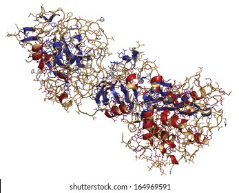 Coagulation Factor IXa (FIXa), Crystal Structure. Hereditary Deficiency Causes Hemophilia B (Christmas Disease). Cartoon & Wire Representation. Secondary Structure Coloring.