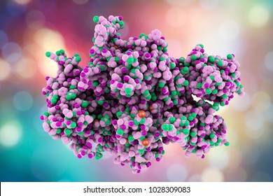 Coagulation Factor VIII, FVIII, an essential blood-clotting protein, also known as anti-hemophilic factor, AHF, 3D illustration. Its defficiency results in hemophilia A