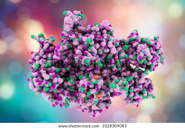 Coagulation Factor Viii Fviii Essential Bloodclotting Stock ...