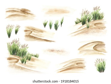 Coastal Dune, Sea Grass Set. Hand Drawn Watercolor Illustration Isolated On White Background