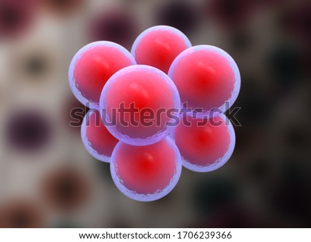 Cocci Shape of bacteria. its called sarcina. 3d stem cell. it is mature cells, ready to split in multi cells. large number of bactetia. Stock photo © 
