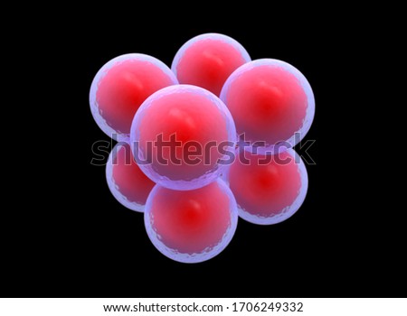 Cocci Shape of bacteria. its called sarcina. 3d stem cell. it is mature cells, ready to split in multi cells. large number of bactetia. Stock photo © 