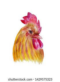 Colored Pencil Drawing Rooster Images, Stock Photos & Vectors