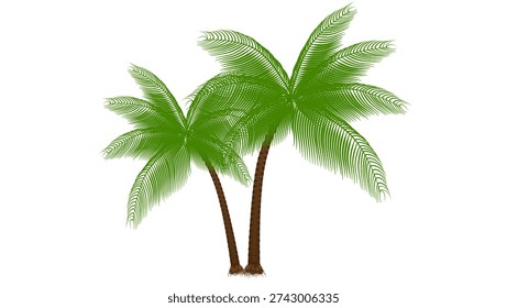 cococnut tree, treee, coconut, palm tree