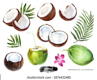 Coconut big set watercolor illustration isolated on white background