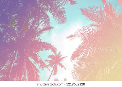 Coconut Palm Trees Adjustment Paradise Colors Stock Illustration ...