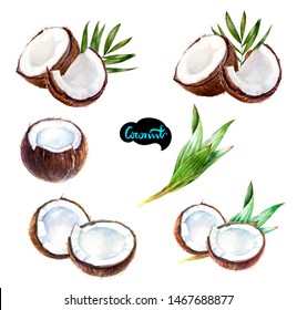 Coconut set watercolor isolated on white background