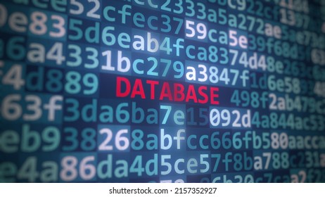 Code and DATABASE text on the computer display. 3D rendering
