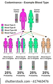 recessive and dominant traits chart