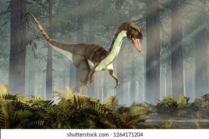 Coelophysis One Earliest Dinosaurs Carnivorous Theropod Stock ...