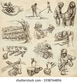 COFFEE. Agriculture. Life of a farmer. Coffee harvesting and processing. Collection of an hand drawing illustrations. Pack of full sized hand drawn illustrations. Set of freehand sketches.