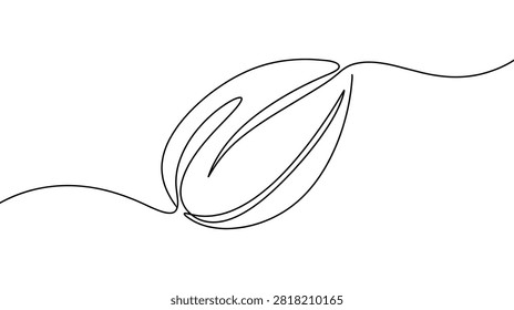 Coffee bean roasted seed caffeine morning unique shown as single continuous line drawing