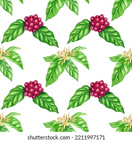 Coffee Plant Seamless Pattern. Watercolor Illustration. Flowers On A Branch, Red Coffee Beans.