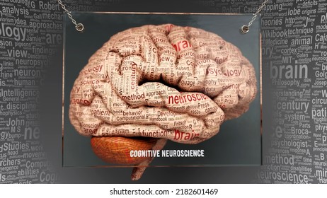 Cognitive Neuroscience In Human Brain - Dozens Of Terms Describing Its Properties Painted Over The Brain Cortex To Symbolize Its Connection To The Mind.,3d Illustration