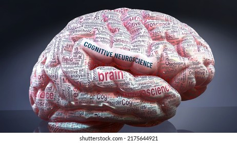 Cognitive Neuroscience In Human Brain, Hundreds Of Terms Related To Cognitive Neuroscience Projected Onto A Cortex To Show Broad Extent Of This Condition,3d Illustration