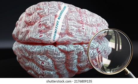 Cognitive Neuroscience In Human Brain, Hundreds Of Terms Related To Cognitive Neuroscience Projected Onto A Cortex To Show Broad Extent Of This Condition,3d Illustration