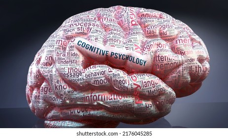 Cognitive Psychology In Human Brain, Hundreds Of Terms Related To Cognitive Psychology Projected Onto A Cortex To Show Broad Extent Of This Condition,3d Illustration