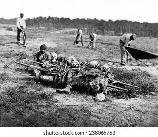 Cold Harbor Va African Americans collecting bones of soldiers killed in the battle