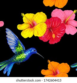 Hibiscus Colibris Hd Stock Images Shutterstock Hibiscus Colibris Hd Stock Images Shutterstock