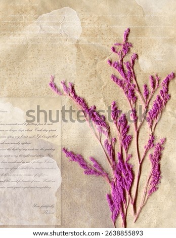 Collage digital journal note with dried flower. Ephemera vintage background.