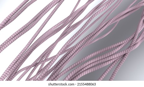 Collagen Fibers 3D Render. Illustration For The Ad For Wrinkle Reduction Treatment Procedures Or Anti-aging Skin Care Products.