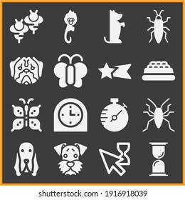 Collection Of 16 Abnormality Filled Icons Included Stopwatch, Wait Cursor, Hourglass, Clock, Dog, Dog Seating, Shooting Star, Bee, Bedbug, Small Monkey With Long Tail