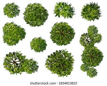 Trees Top View Landscape Vector Illustration Stock Vector (Royalty Free ...