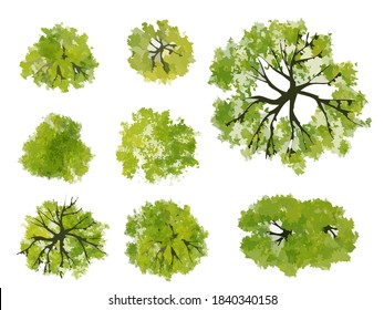 5,093 Tree Top View Watercolor Images, Stock Photos & Vectors ...