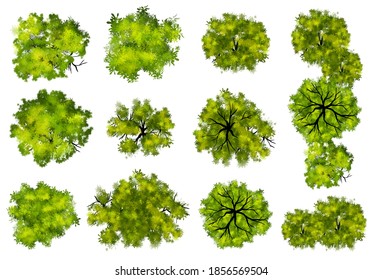 643 Top view watercolor grass Stock Illustrations, Images & Vectors ...