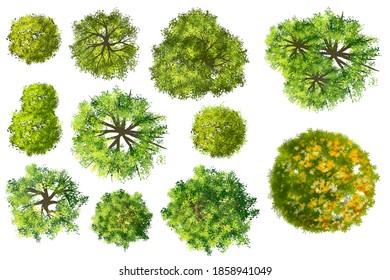 Collection Abstract Watercolor Green Tree Top Stock Illustration ...