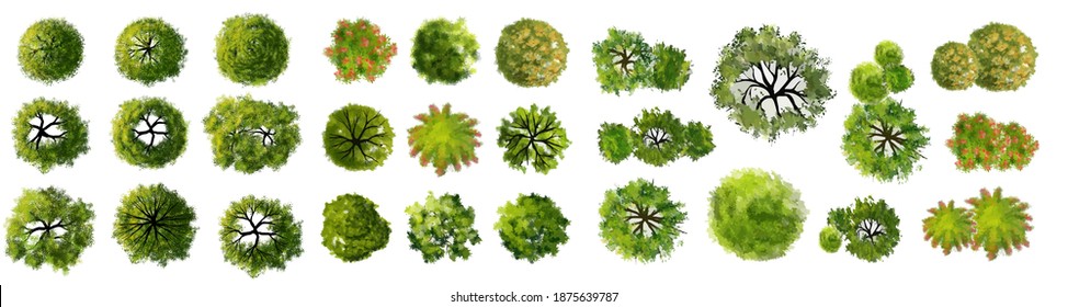 Collection Of Abstract Watercolor Green Tree Top View Isolated On White Background  For Landscape Plan And Architecture Layout Drawing, Elements For Environment And Garden, Green Grass Illustration